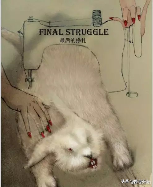 英国女王正式宣布拒绝皮草，愿世间没有血淋淋的时尚