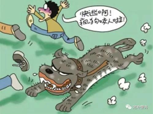 遇到狗怎样化解,狗狗得了细小自救方法