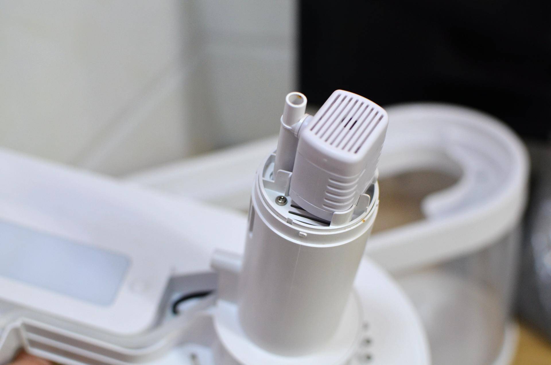 懒人鱼缸养鱼,懒人能养鱼吗