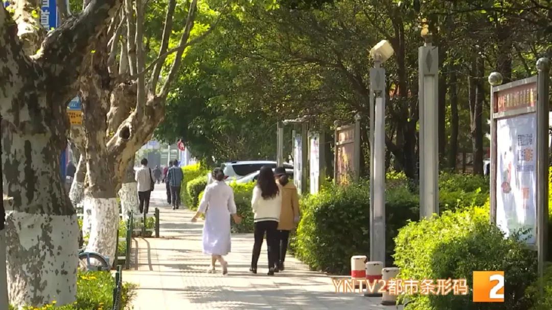 云南“淡定”入伏后将续闷热！春城昆明仍是避暑胜地