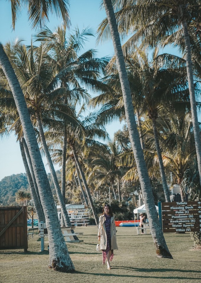 澳洲观鲸攻略,澳洲观鲸之旅