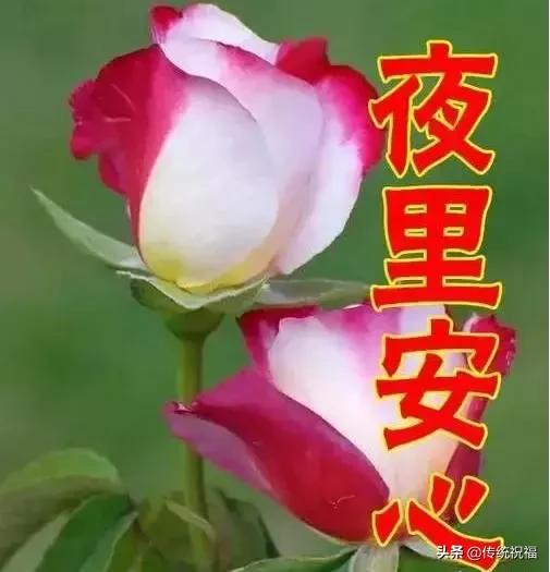 女人节祝福语送给你,最美丽的女人节祝福