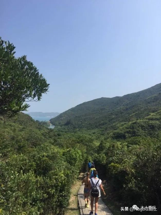 香港亲子游图文攻略图片大全,去香港亲子旅行攻略路线图片