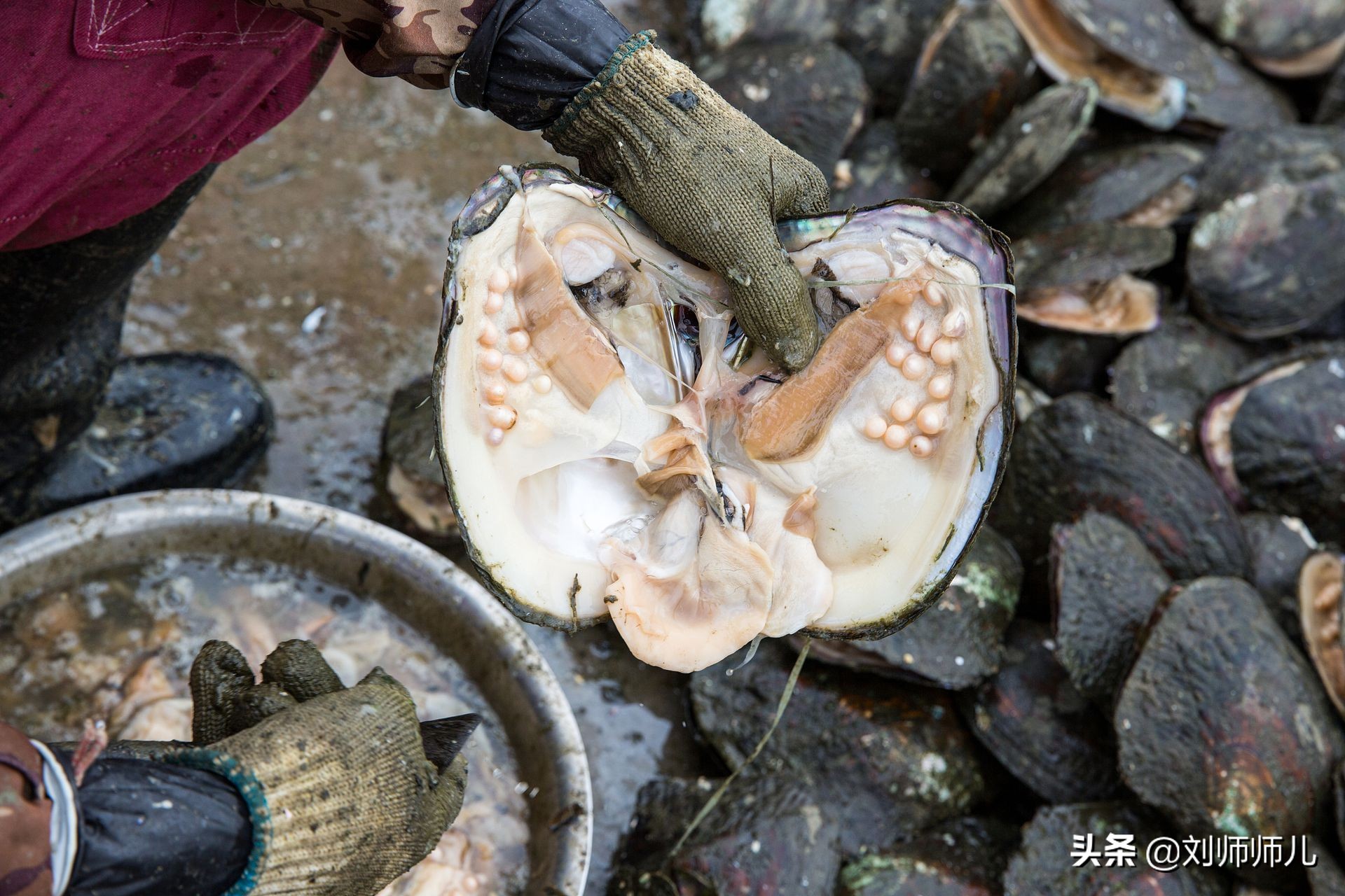 淡水珍珠怎么保养更亮,淡水珍珠真假辨别方法