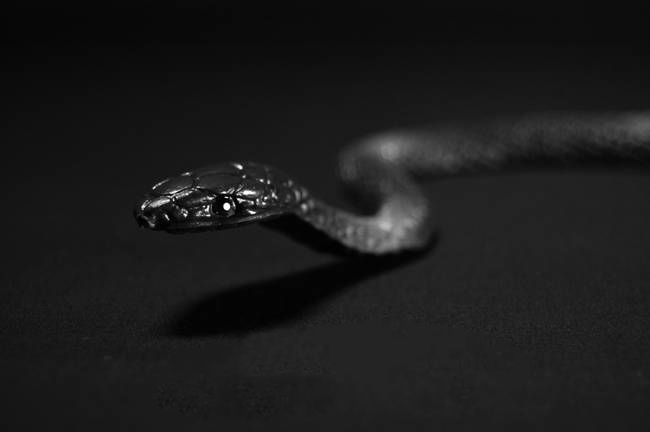 恐鸡症是精神疾病吗,恐鸡症可以治愈么