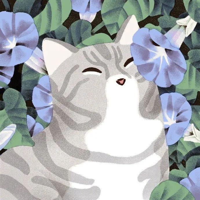 精妙的细节和色彩插画,插画作品想象力是最吸引人的色彩