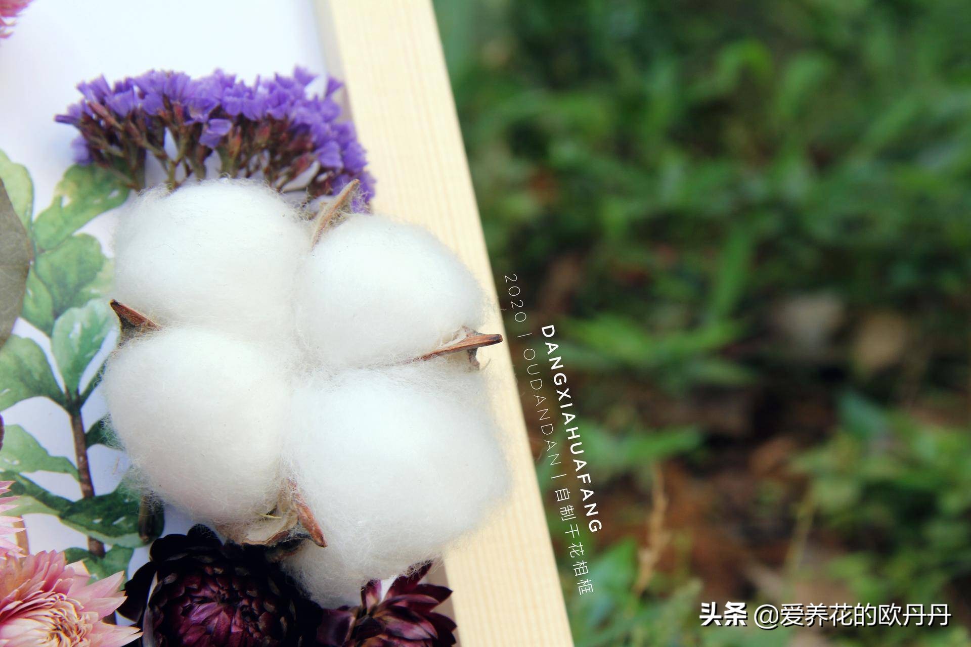 干花diy相框儿童,干花diy相框自制