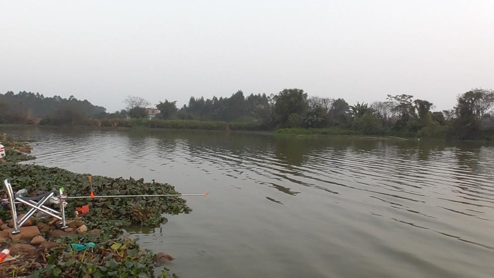 妄想山海鲮鱼成熟后怎么进阶,钓鲮鱼1.5主线0.8子线可以吗