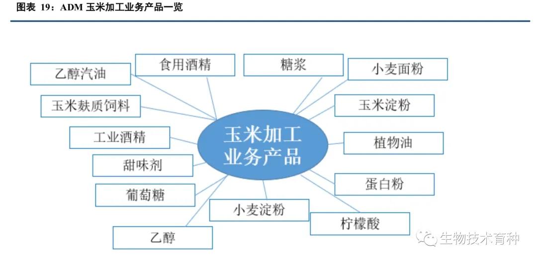 adm璺ㄥ浗绮晢,鍏ㄧ悆绮晢宸ㄥごadm