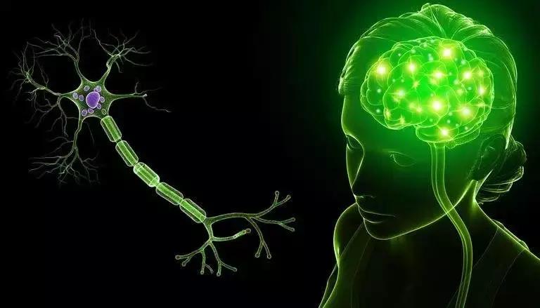 细菌影响基因发展吗,细菌的影响