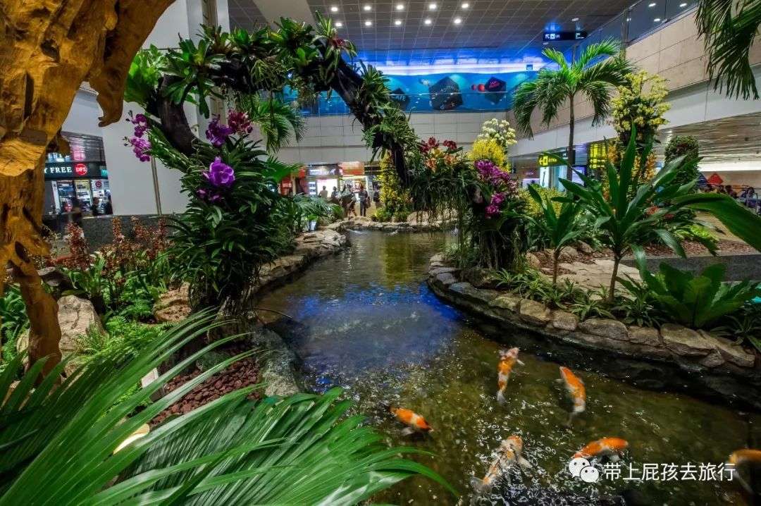 无旅行不暑假亲子游胜地新加坡,新加坡马来西亚亲子游春节