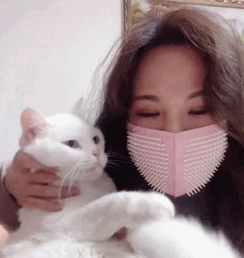 长毛猫撸猫毛工具,哪种撸猫毛的工具好用