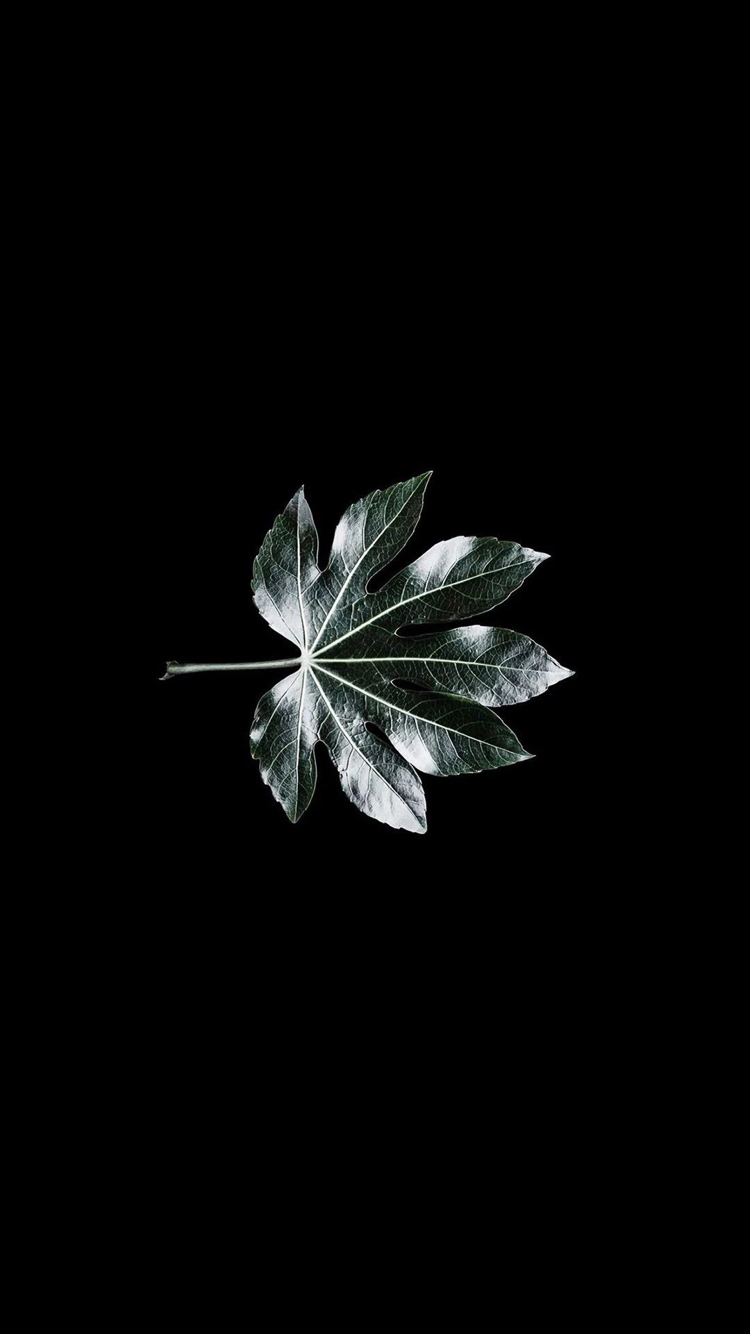 今日超好看质感壁纸（1080x1920）,1125x2436两种分辨率