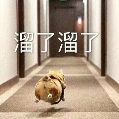 沙雕群聊昵称5人,沙雕群聊昵称富婆