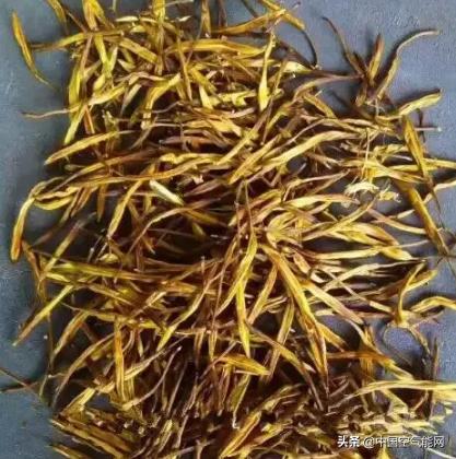 黄花菜采摘后怎么处理烘干,下雨天黄花菜蒸熟了怎样烘干