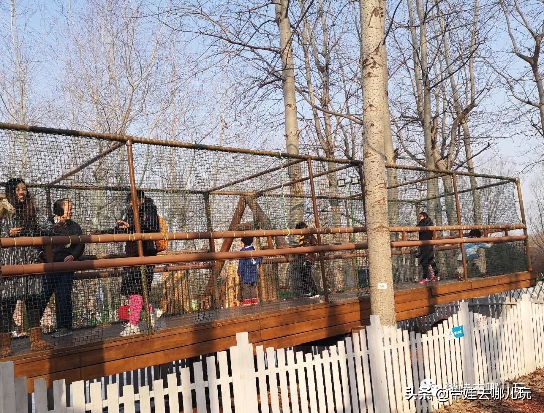 几百块就能玩的宝藏景区,有哪些小众宝藏游乐园