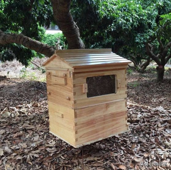 最便宜的蜂箱多少钱一个,蜂箱价格40元是真的吗