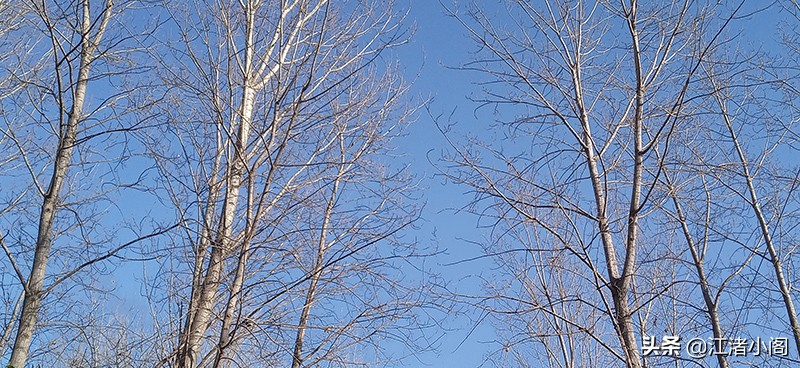 没有工作动力怎么办,工作没有动力情绪低落