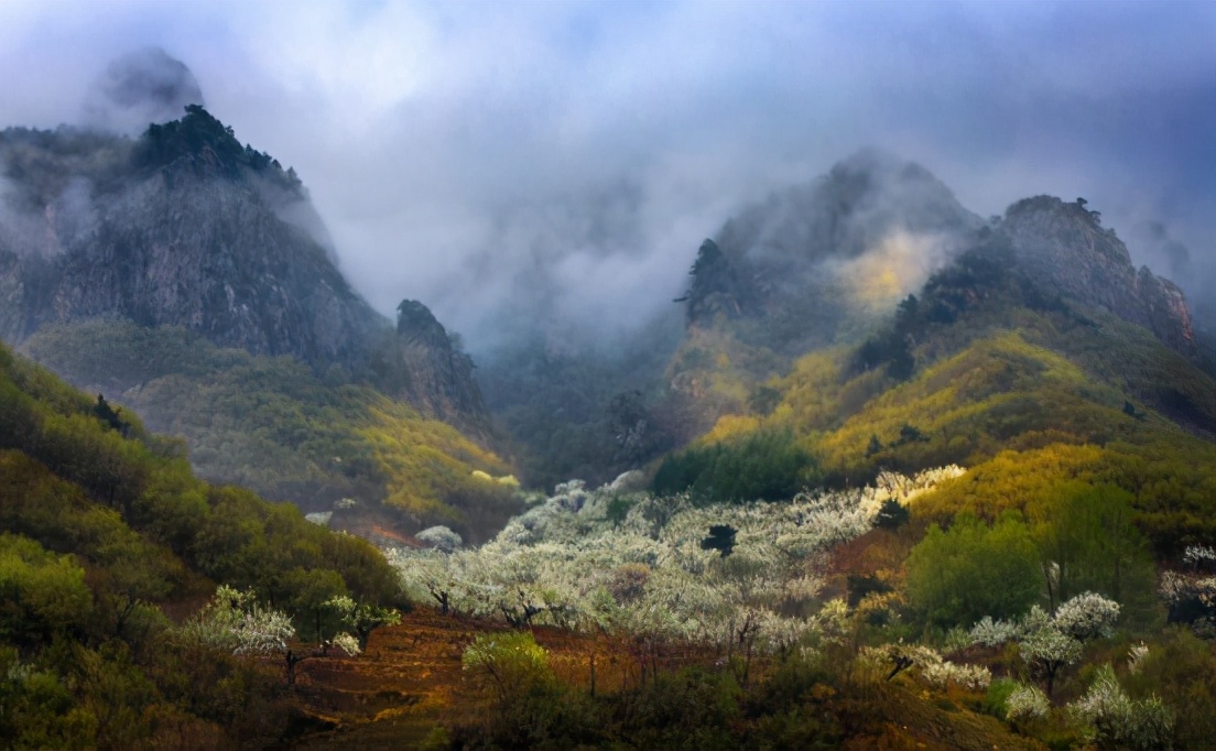 沈阳春暖花开,春暖花开沈阳自由行攻略