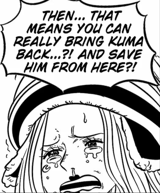 海贼王番外篇之营救暴君熊的计划