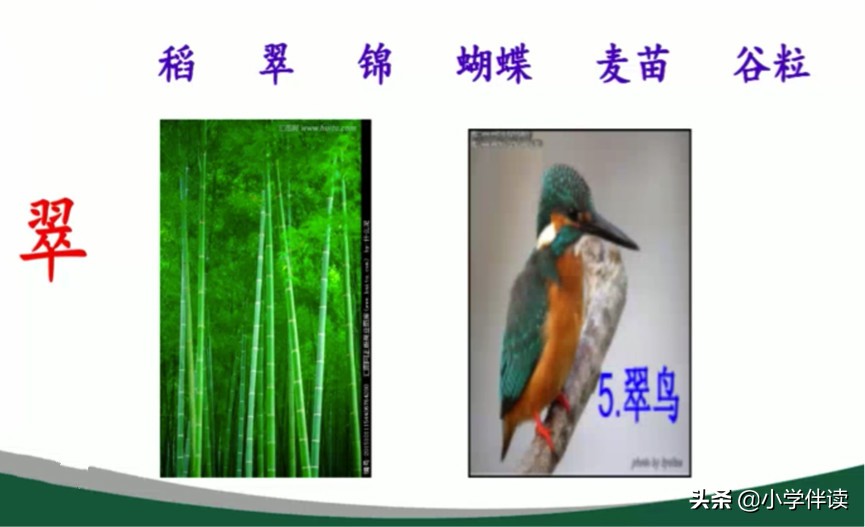 如何让孩子快速识字并会写的方法,四岁孩子识字非常困难