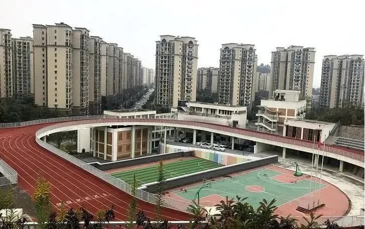 体育场能做什么项目,体育场馆怎么建