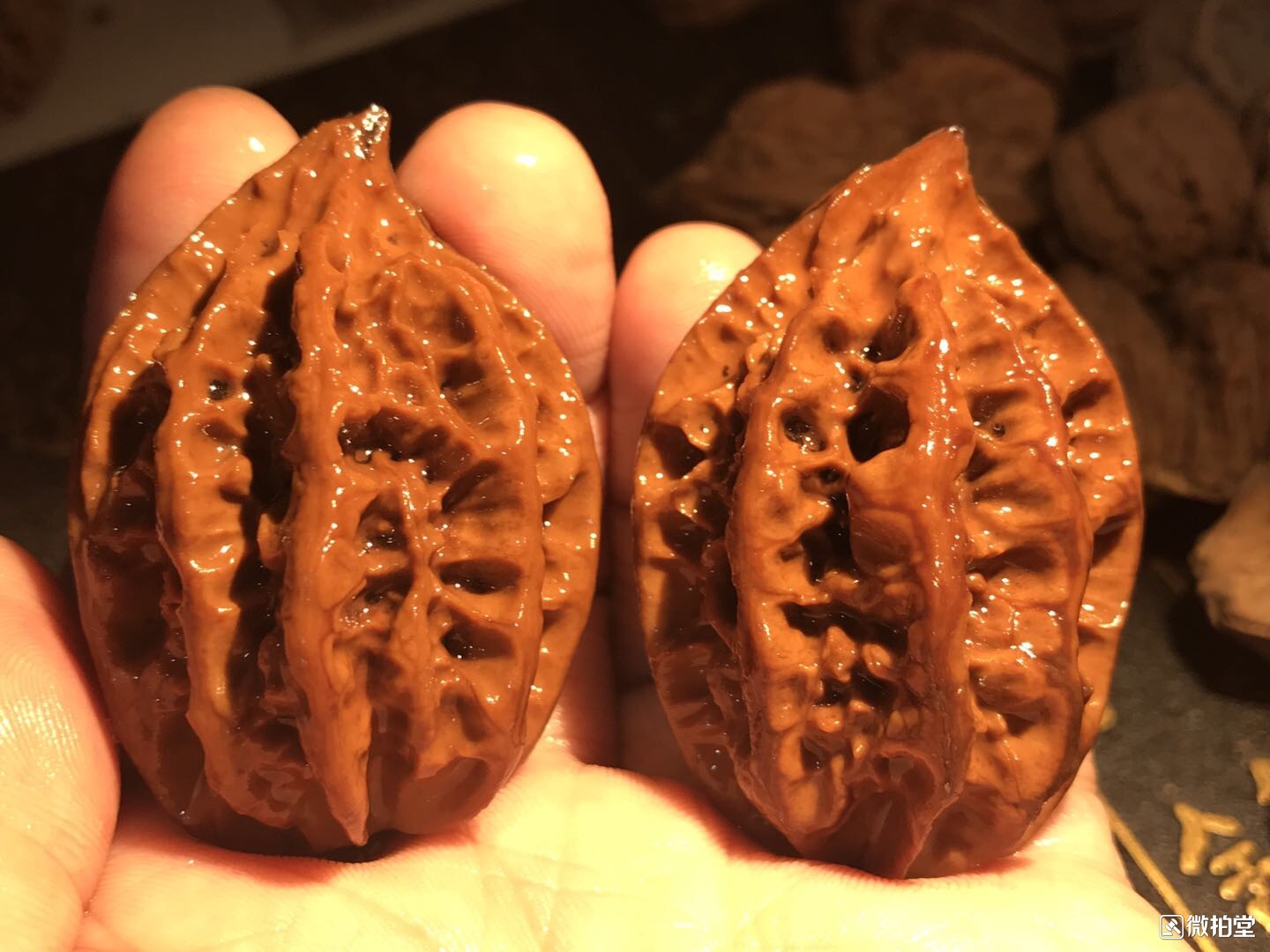 文玩核桃蛤蟆头产地,文玩核桃产地哪里的最好