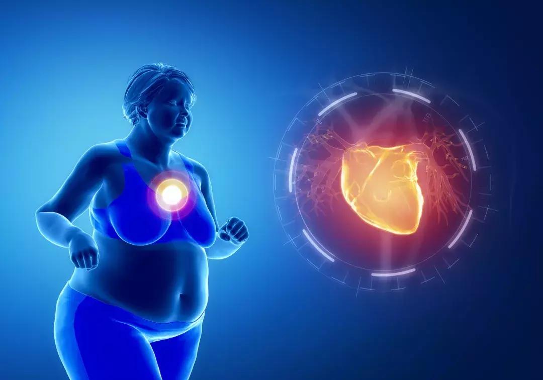 为什么体重下降体脂率反而升高,减肥不是减营养是减热量