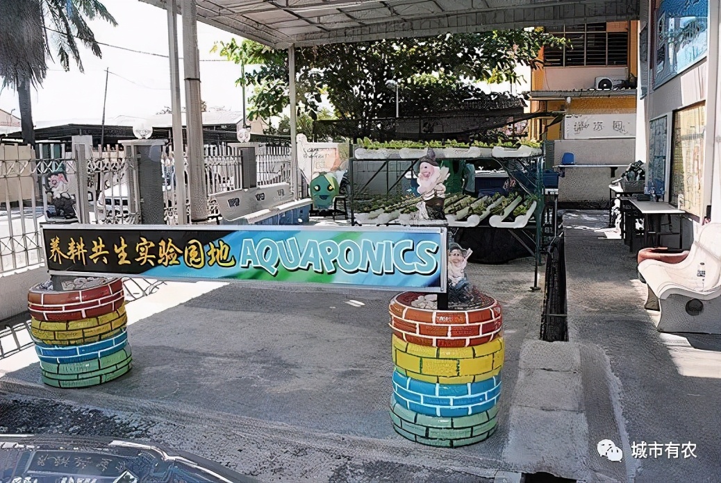 农业大学鱼菜共生技术,鱼菜共生智慧农业