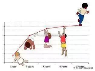 孩子肥胖营养师,营养师如何给孩子补充营养