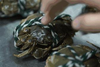 蒸蟹脚容易掉,海蟹蒸的时候黄漏了