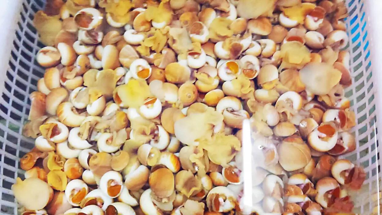 揚州雖然不是沿海城市但是海鮮產品還是挺豐富的