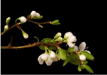 近期接到这个电话请务必及时接听,这几天总有陌生电话打来