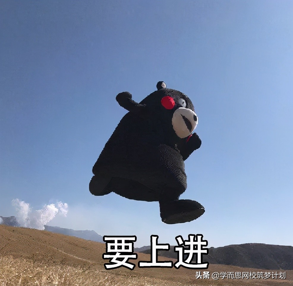 数竞该不该学?怎么学?国集学长做了这些总结,含书单推荐