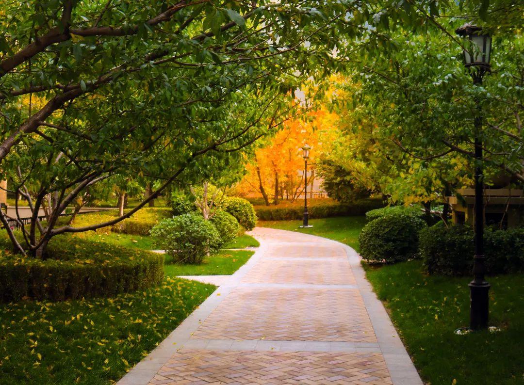 詹天佑奖大禹奖鲁班奖,詹天佑奖