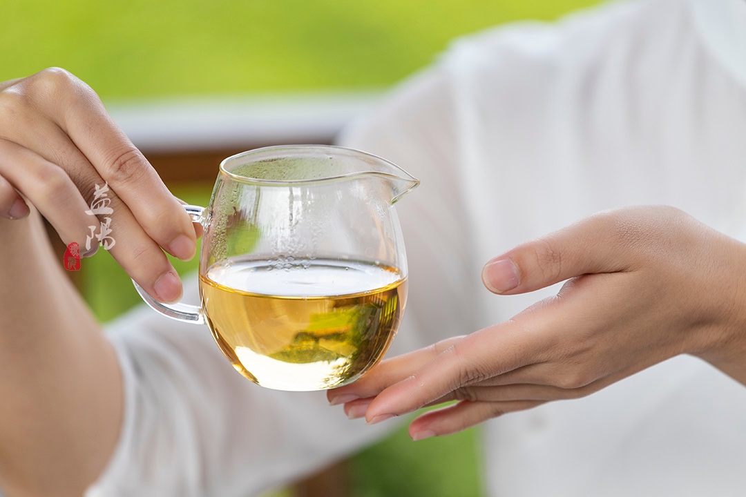 安化千两茶的四大优势,安化千两茶前世今生