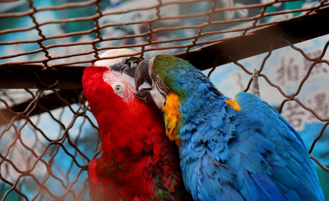 济南遛娃室内去哪里玩,济南遛娃好玩的地方