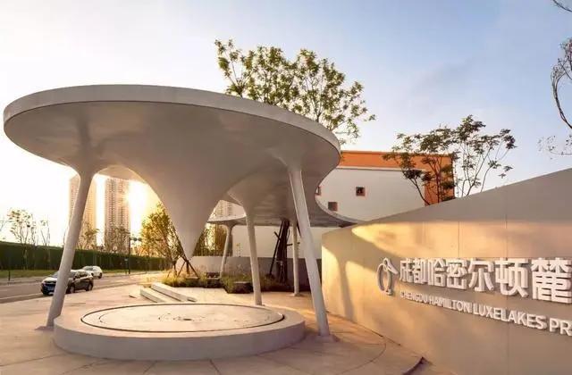 哈密尔顿麓湖幼升小,哈密尔顿麓湖小学教材