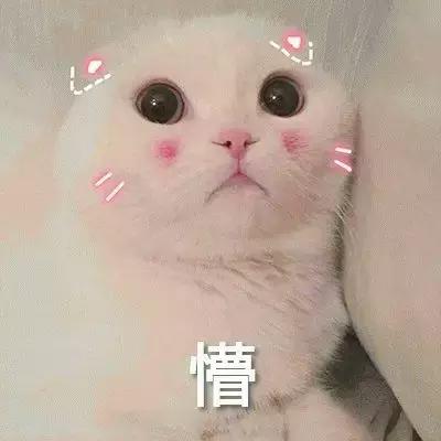 88元享388元「棉花糖SPA」套餐！火遍小红书の贵妇级护肤厦门也有