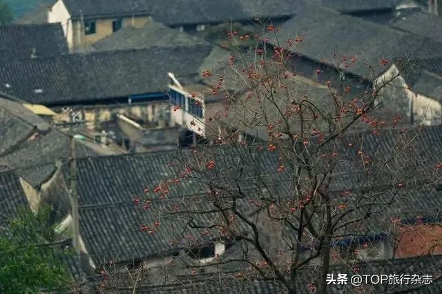 中国8条最惊艳的公路,中国19条最美乡村公路