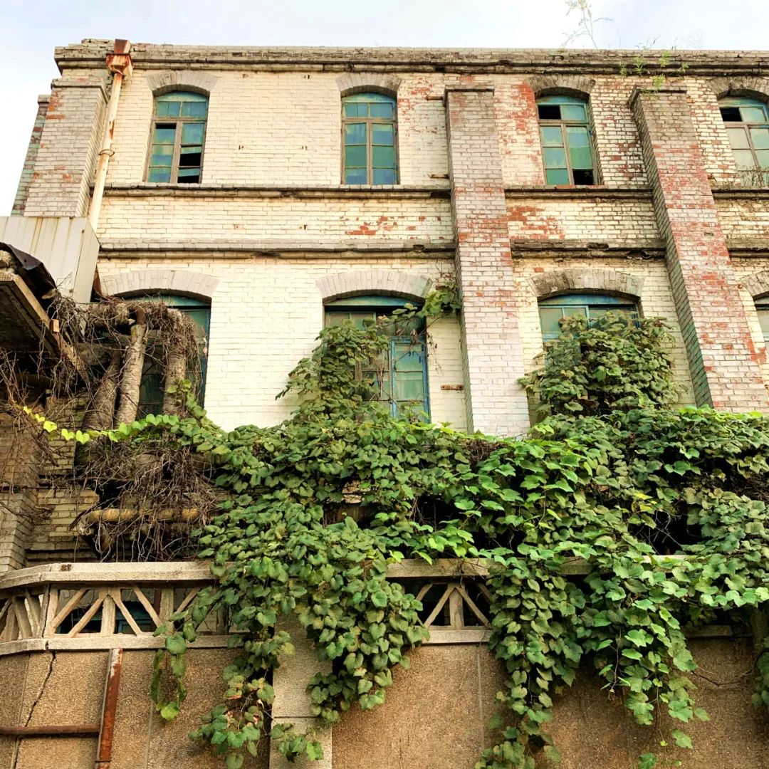 早安辽宁营口,早安营口的作品