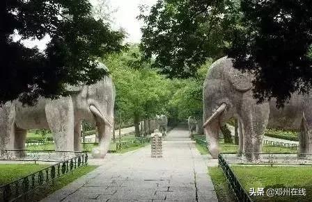 南阳最新重要新闻,河南南阳有什么大事