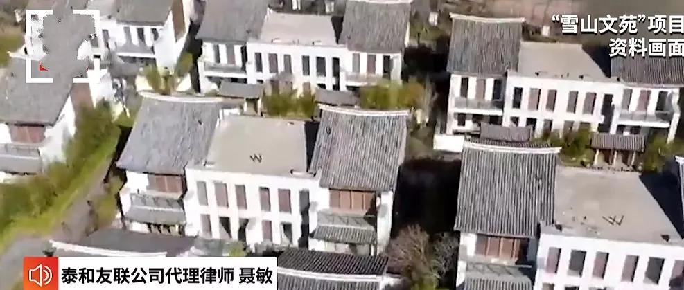 王菲刘涛背后的男人都是投资奇才,李亚鹏为四千万下跪,王珂破产