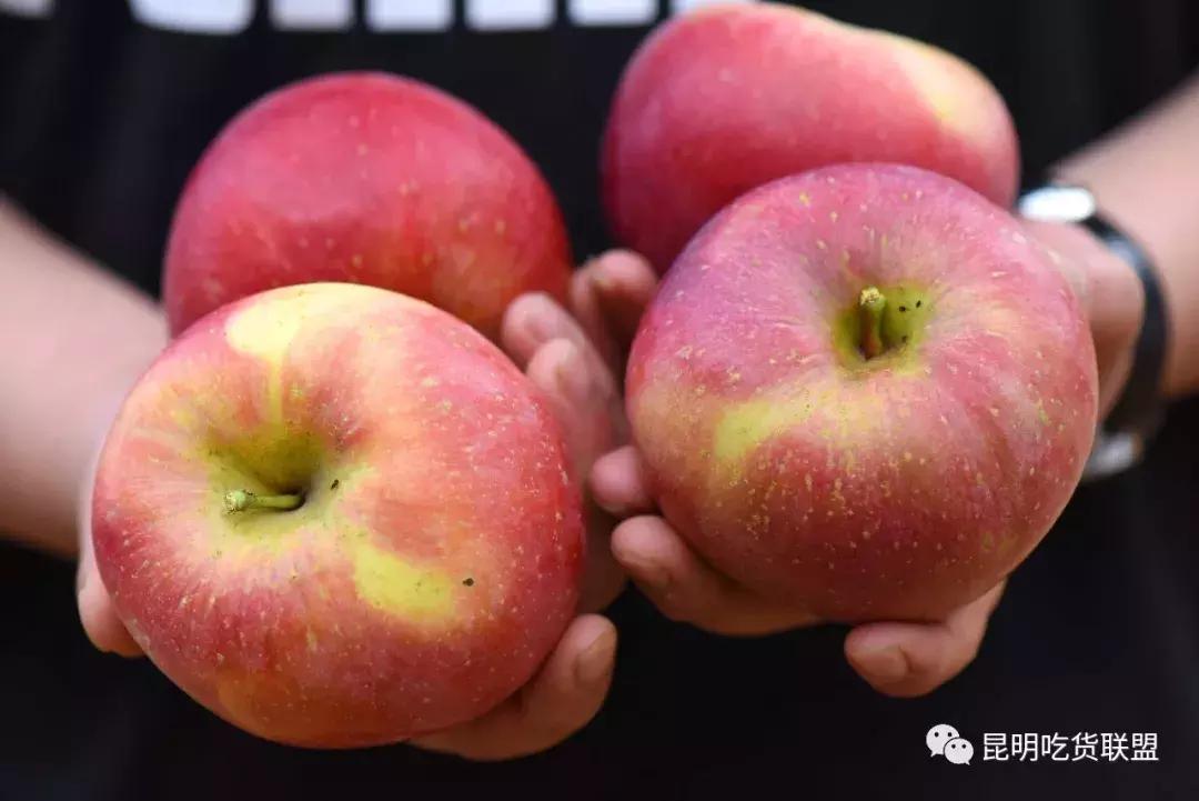 昆明采摘一日游,昆明采摘游