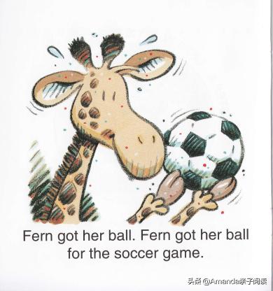关于足球的英语绘本故事,英语绘本关于足球和篮球
