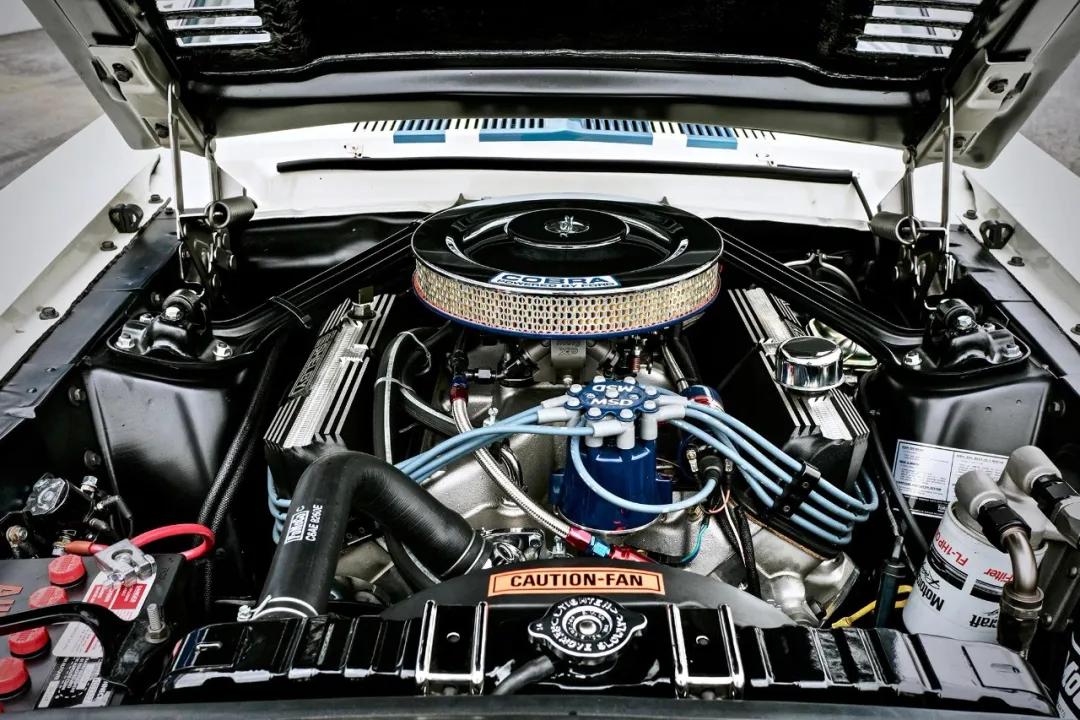 眼镜蛇野马最贵多少钱,最高级的帅野马