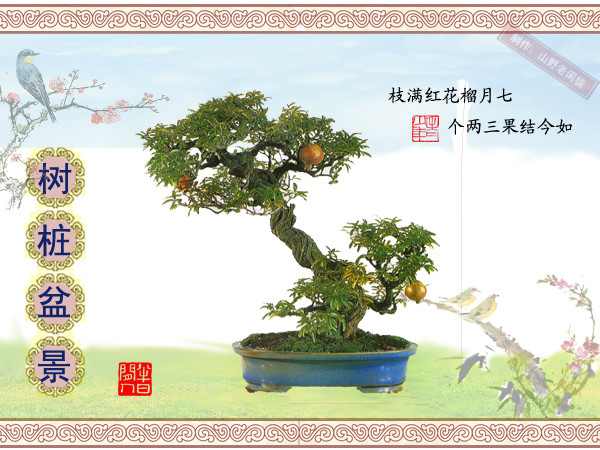 鏍戞々鐩嗘櫙楂樻竻鍥剧墖,姒旀鐩嗘櫙鏍戞々