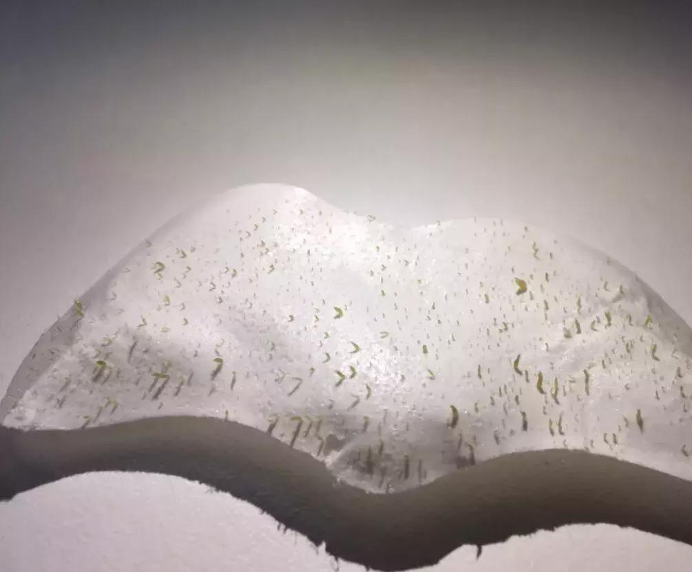 小红书推荐的平价身体乳,小红书点赞收藏破千