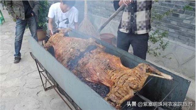 梨木台景林农家院,梨木台景林农家院直播