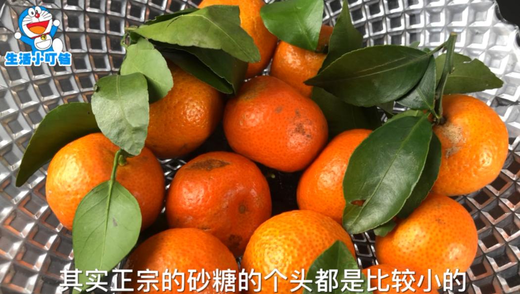 挑选砂糖橘的正确方法,教你挑选砂糖橘的技巧